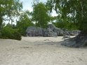 2014-06-05 12-08-49 Foret de Fontainebleau FGn